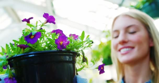 美しい女性運ぶ花植物 — ストック動画