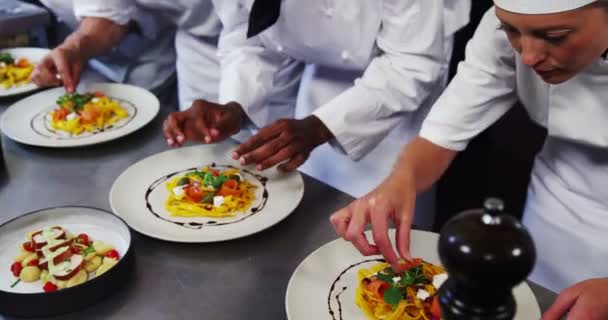 Chef-koks presenteren salade op plaat — Stockvideo