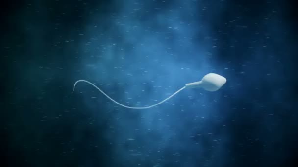 Yumurta hücresi sperm ile döllenmiş taşıma — Stok video