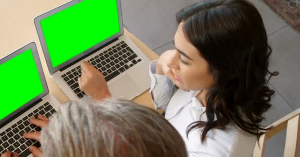 Mensen uit het bedrijfsleven met behulp van laptops — Stockvideo