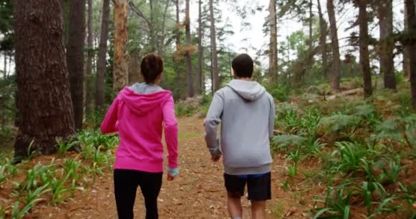 Par joggar tillsammans — Stockvideo