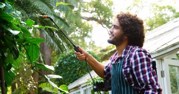 庭のスプレーヤーで植物に水をまく人 — ストック動画