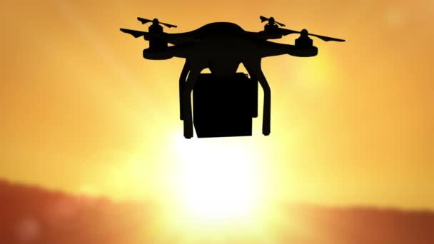 Drone silhouette tenant une boîte — Video