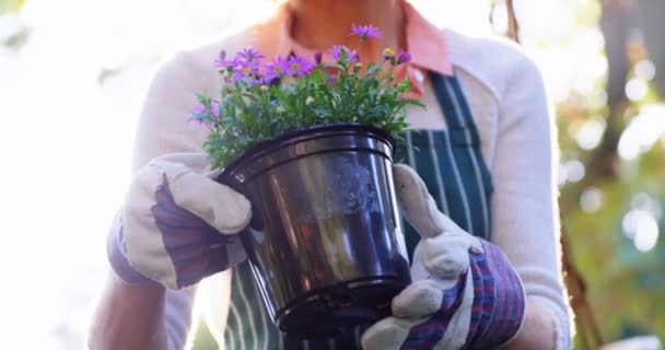 Olgun kadın bitki kontrol — Stok video