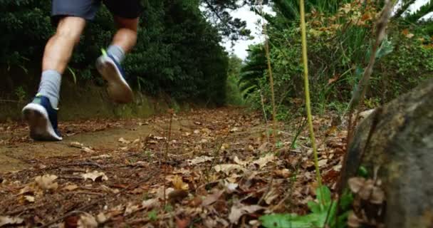 Homem indo para uma corrida — Vídeo de Stock