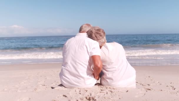 Pareja mayor abrazándose en la playa — Vídeos de Stock