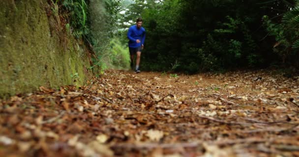 El hombre va a correr. — Vídeo de stock