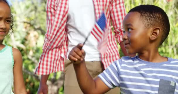 Мальчик и девочка с американскими флагами — стоковое видео