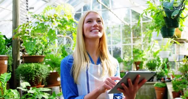 Vacker kvinna med digital tablet — Stockvideo