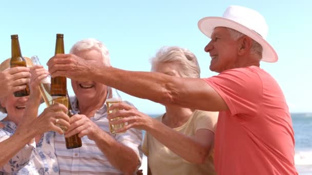 Senioren trinken Bier am Strand — Stockvideo