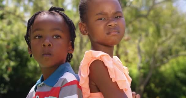 Раздражённые дети смотрят в камеру — стоковое видео