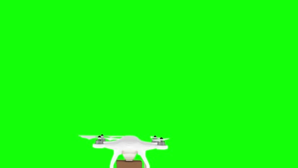 Drone carrying cardboard box — Stock Video