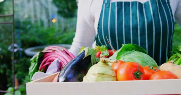 Mujer madura sosteniendo cajas de verduras — Vídeos de Stock