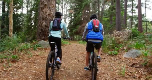 Couple cycling together — Stock Video