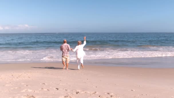 Старшая пара на пляже — стоковое видео