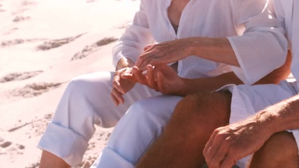 Couple sénior tenant la main sur la plage — Video