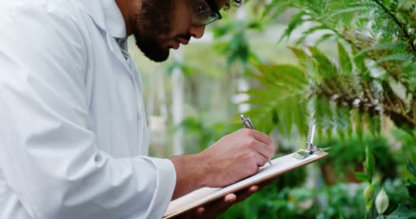 Homem tomando notas de plantas na área de transferência — Vídeo de Stock