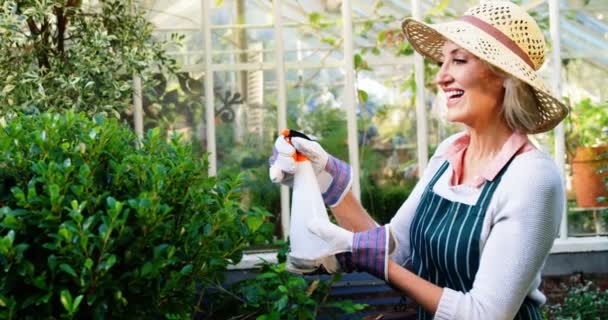 Donna matura spruzzando acqua con spruzzatore a mano sulle piante — Video Stock