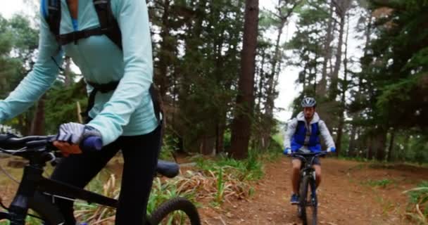 Pareja ciclismo juntos — Vídeo de stock