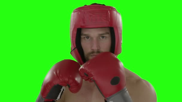 Boxer punching and looking at camera — Stock Video