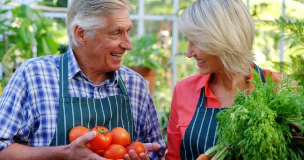 Äldre par kontrollera tomater — Stockvideo