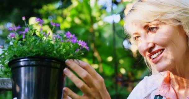 成熟した女性の植物をチェック — ストック動画