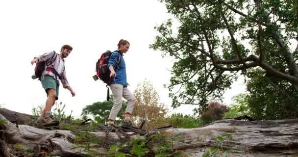 Couple marchant sur un tronc d'arbre — Video