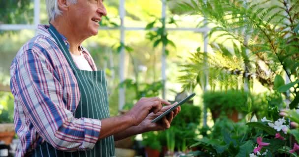 Mature man using digital tablet — Stock Video