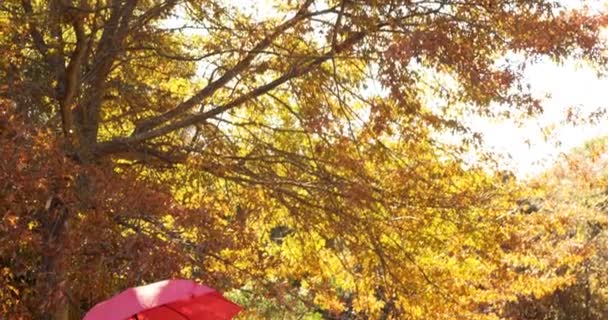 Couple outdoors with umbrella — Stock Video