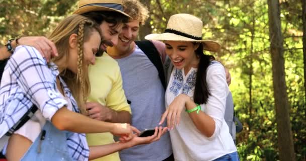 Caminante parejas viendo smartphone — Vídeo de stock