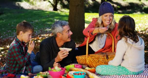 Familia feliz haciendo un picnic — Vídeo de stock
