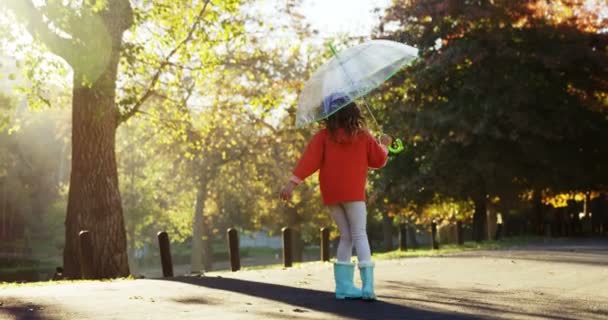 Fata se distrează cu umbrelă — Videoclip de stoc