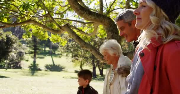 Familia caminando al aire libre — Vídeos de Stock