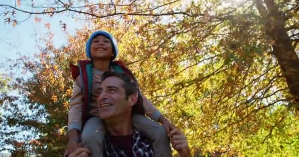 Ayah dengan anak di belakang — Stok Video