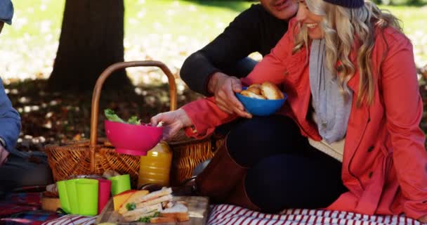 Multi generatie familie nemen picknick — Stockvideo