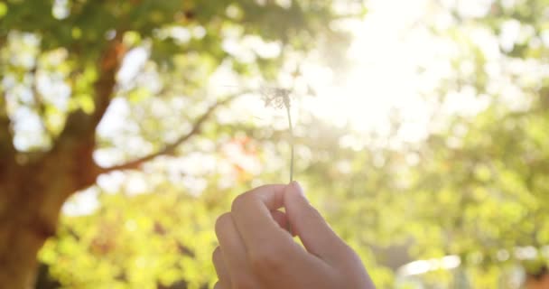 Хипстерская женщина, выдыхающая пыльцу — стоковое видео