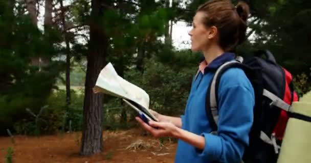 Természetjáró séta egy térképpel és tájolóval — Stock videók