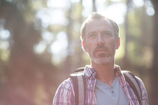 Hiker stående i skogen bär ryggsäck — Stockfoto