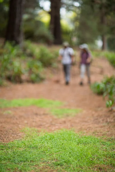 徒步旅行者夫妇在森林徒步旅行 — 图库照片