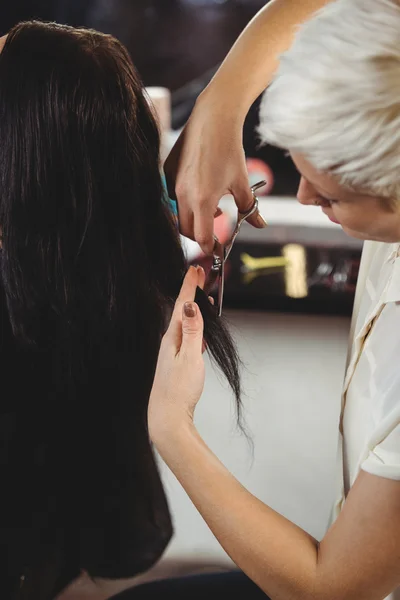 Feminino recebendo seu cabelo aparado — Fotografia de Stock