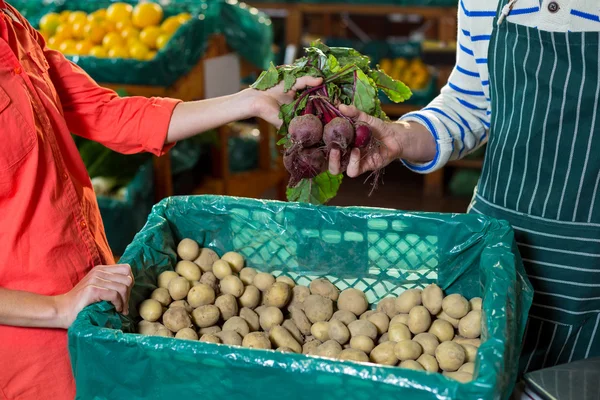 Staff assisting woman in selecting fresh beetroots — Stock Photo, Image