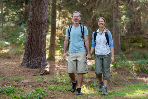 Couple randonneur randonnée en forêt — Photo