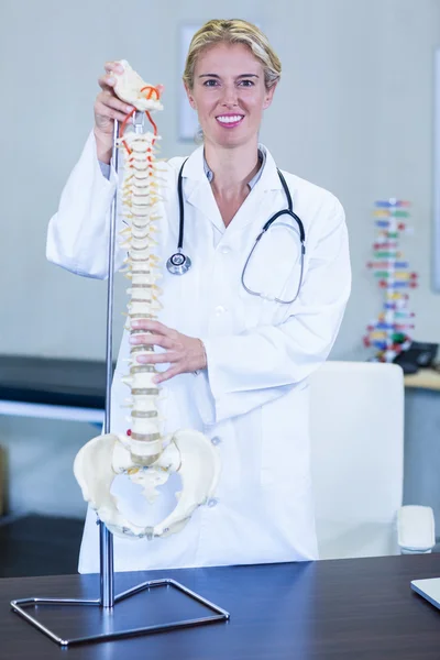 Physiotherapist holding a spine model — Stock Photo, Image