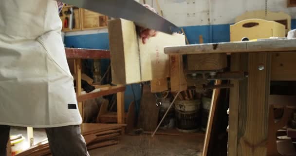 Charpentier travaillant sur l'artisanat — Video