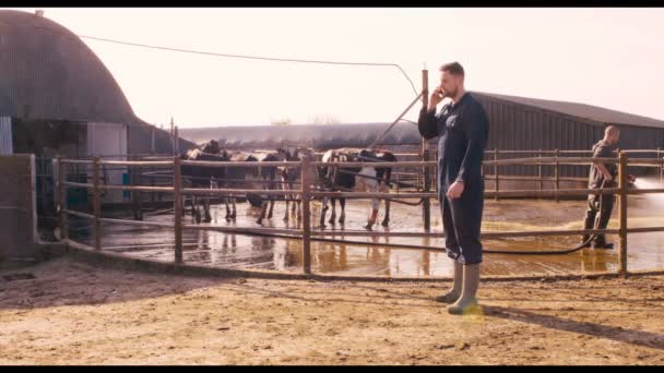 Cattle farmer talking on mobile phone — Stock Video