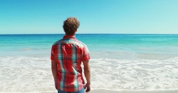 Человек гуляющий по пляжу — стоковое видео
