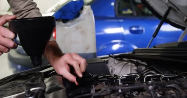 Mécanicien verser de l'huile dans le moteur de la voiture — Video