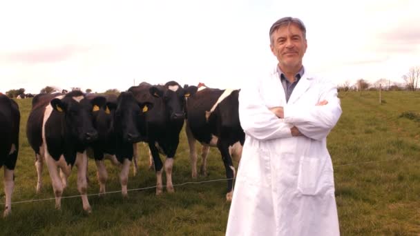 牛の群れの側に立って獣医医師 — ストック動画