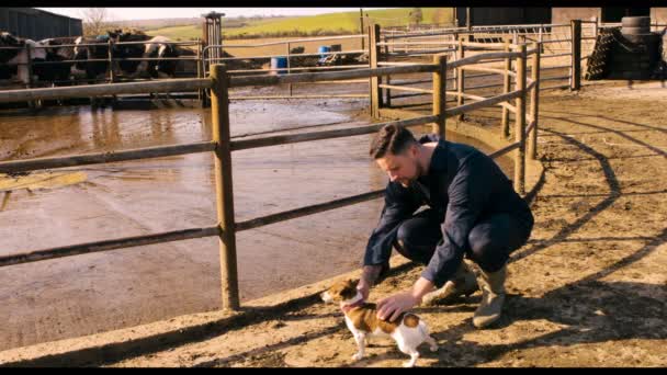 Ganado granjero acariciando perro cerca granero — Vídeos de Stock