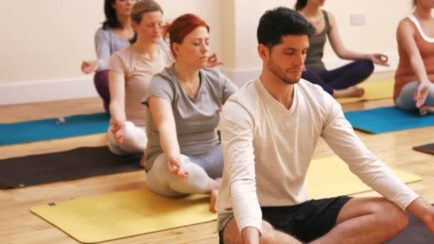 Gruppo di persone che eseguono yoga — Video Stock